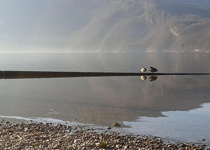 Appartement Bilocale Sul Di La Ca' Ai Mulen Mandello del Lario